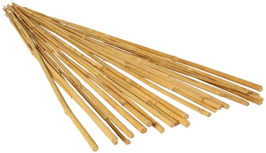 pack of 25 bamboo stakes